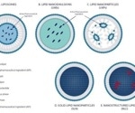 Overcoming the limits of traditional DLS in lipid-based nanoparticle manufacturing