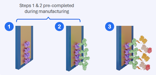 Assay Workflow Schematic