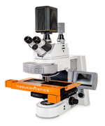 Confocal Microscopes