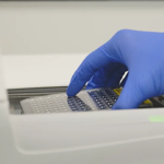 Newcells FMT assay service