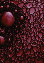 Chromogranin A ELISA: The best marker for diagnosis of neuroendocrine tumors