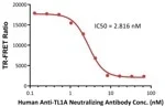 ACROBiosystem's Human TL1A-DR3 inhibition Kit (TR-FRET)