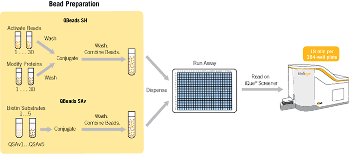 Immunoassay Kits: iQue Qbeads®
