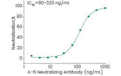 Interleukin-6 (IL-6): Recombinant pro-inflammatory IL-6 and receptors