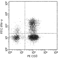IFN-γ: A therapeutic target for cancer therapy