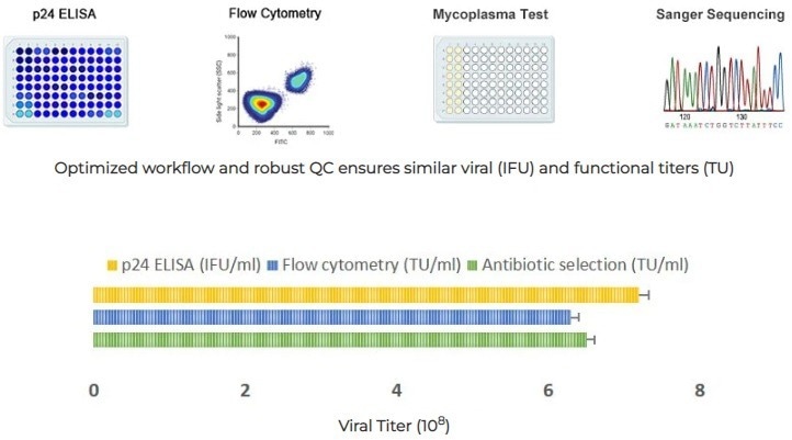Lentiviral vectors for integration of the gene