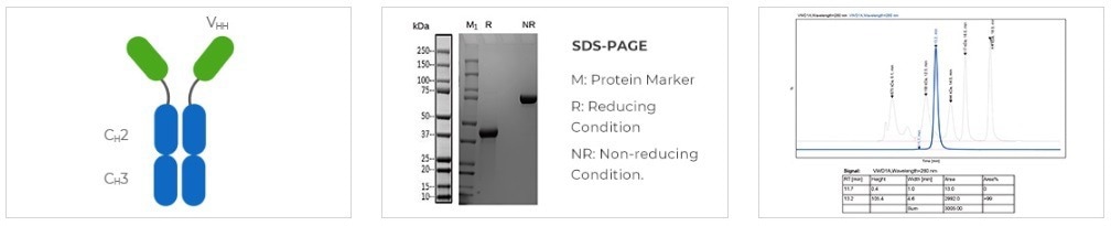 TurboCHO system for recombinant antibody expression in mammalian cells