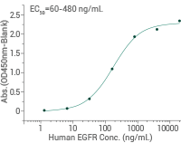 ADC target antigens in solid tumors