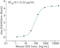 ADC target antigens in solid tumors