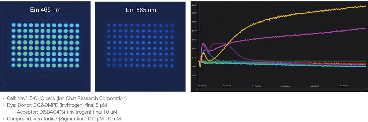 FDSS-GX Kinetic Plate Imager for HTS