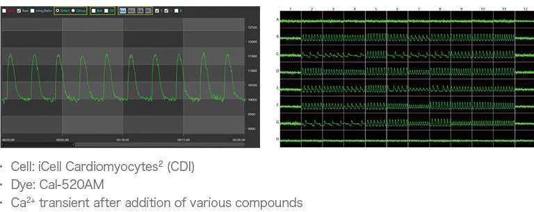 FDSS-GX Kinetic Plate Imager for HTS