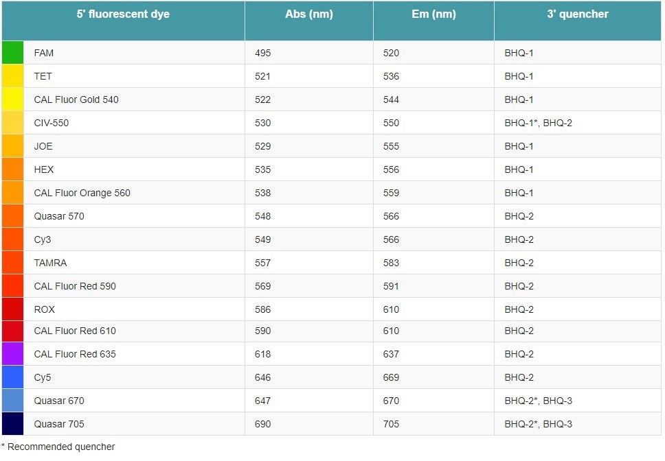 BHQ™ Probes: Quantification of specific target sequences