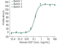 High batch-to-batch consistency: Cell proliferation assay using Balb/C 3T3 mouse embryonic fibroblasts.