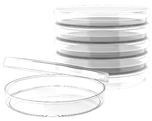 Affordable Petri dishes