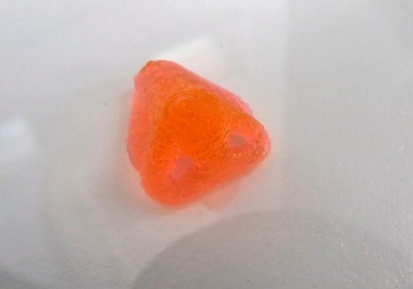 3D printed nose structure using TissueFab®-GelAlg-Vis.