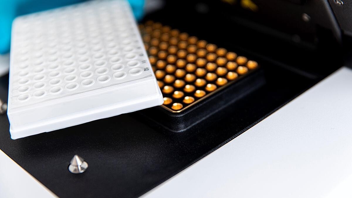 Real-time PCR thermocycling with qTOWERiris