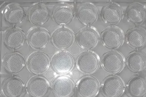 Highly characterized donor Human HEPATOPAC® cultures