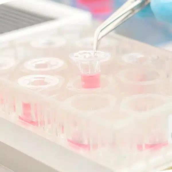 In Vitro contract research services for quick access to OOC technology