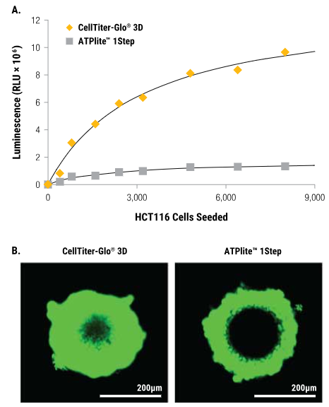 CellTiter-Glo® 3D Cell Viability Assay for 3D microtissue cultures