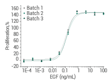 Cell proliferation assay using Balb/C 3T3 mouse embryonic fibroblasts.