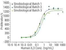 High batch-to-batch consistency: Cell proliferation assay using TF-1 human erythroleukemic cells.