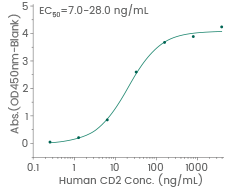Functional ELISA: Immobilized human CD2 His can bind human CD58 hFc (Cat#: 12409-H02H).