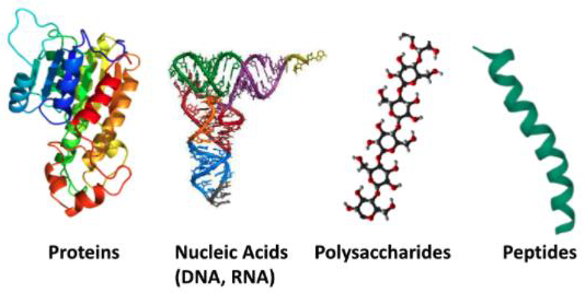 ARGEN™ Target Biopolymers