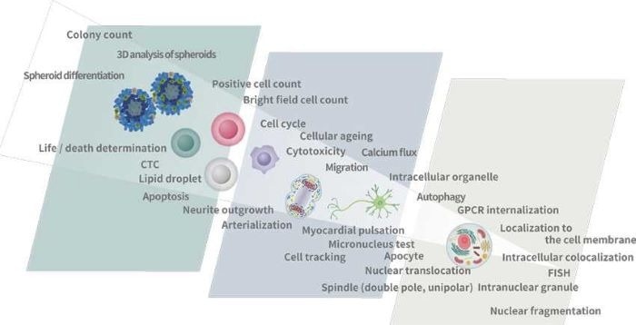 Optimizing cell imaging processes with CellPathfinder