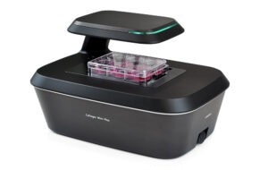 Real-time live cell imaging system