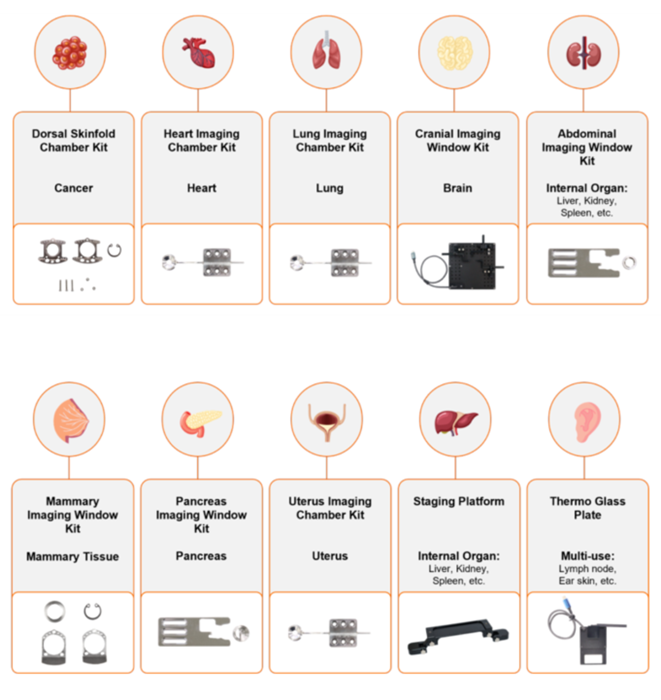 Live animal IVM system