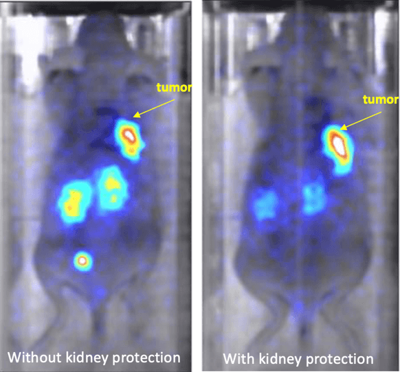 γ-eye™ isotope screening