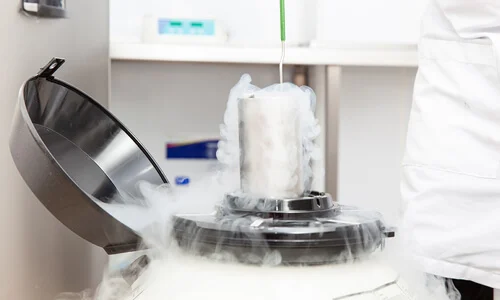 Customized enzyme development and production