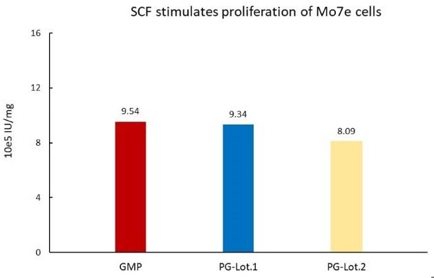 GMP compliant SCF protein
