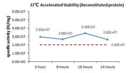 GMP compliant TNF-alpha proteins
