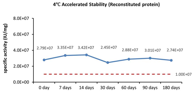 High-quality GMP human IL-12 protein