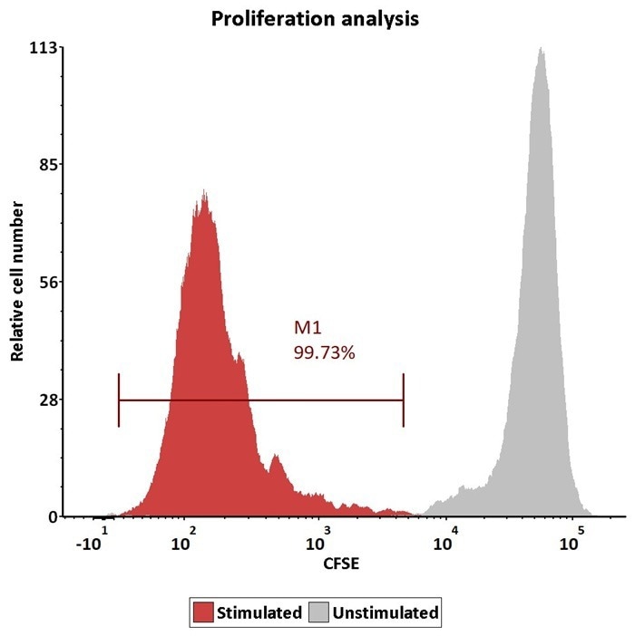GMP ActiveMax® human T cell magnetic beads