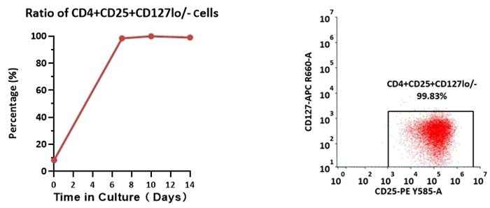 GMP ActiveMax® human T cell magnetic beads