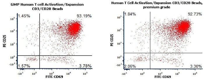 GMP ActiveMax® human T cell magnetic beads