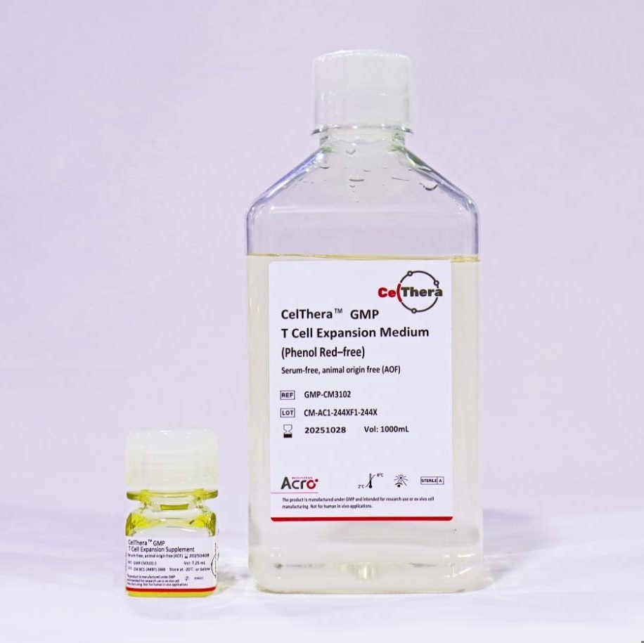 ACROBiosystem's CelThera™ GMP T Cell Expansion Medium (Phenol Red-free)