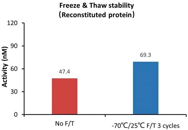 GMP-grade human DLL4 protein