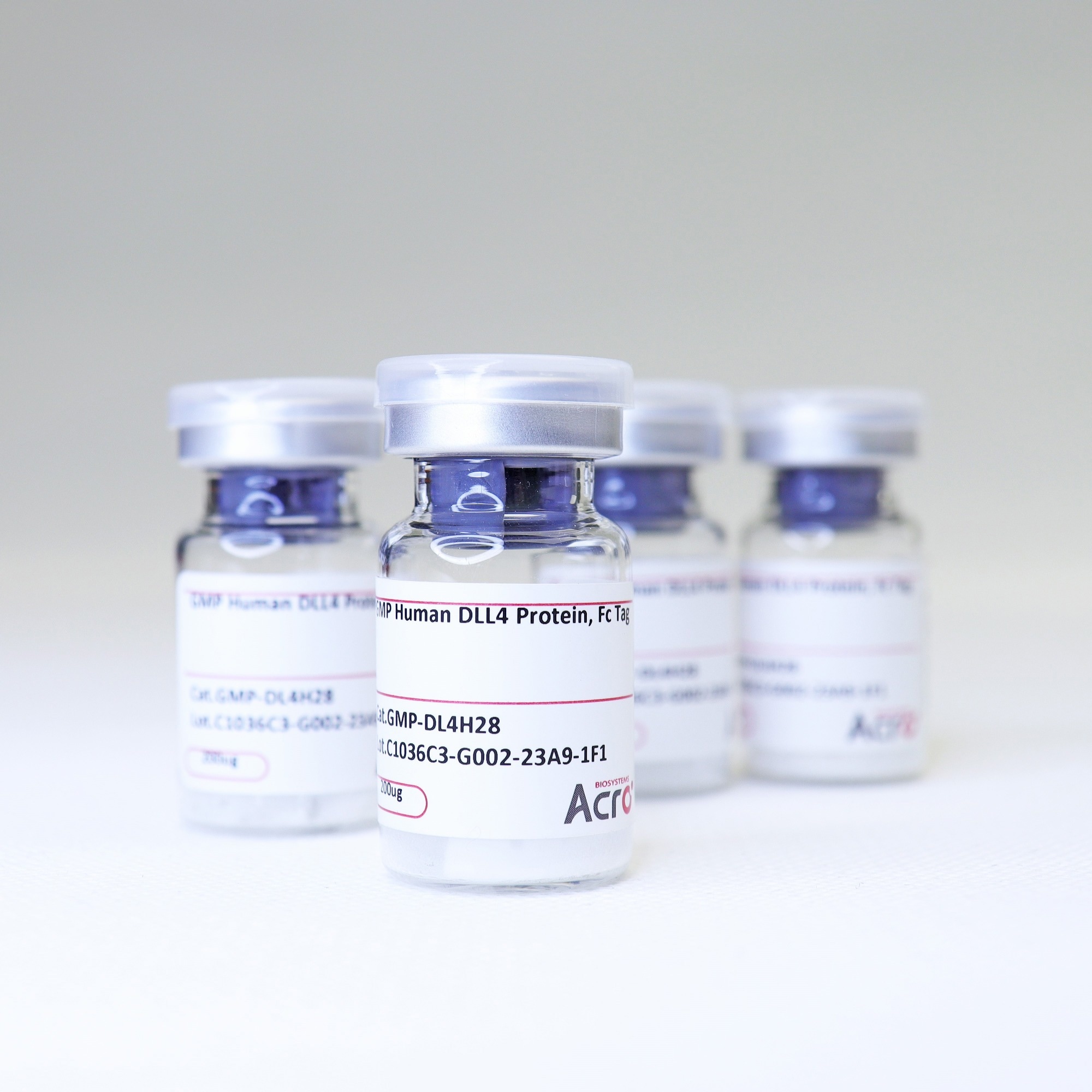 ACROBiosystem's GMP Human DLL4 Protein, Fc Tag