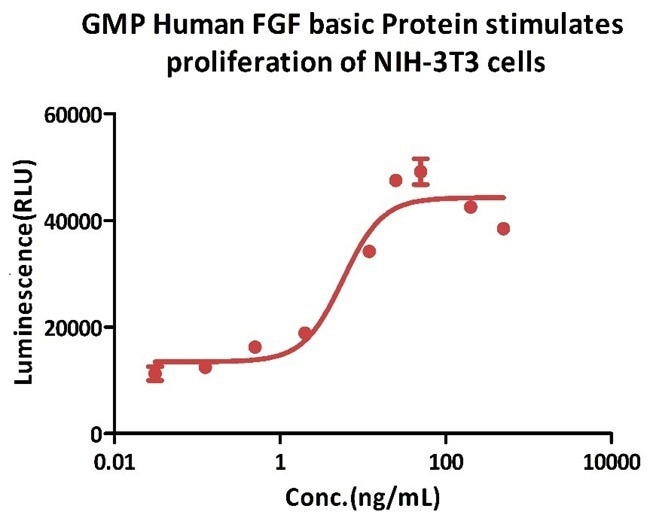 GMP-grade human FGF basic protein