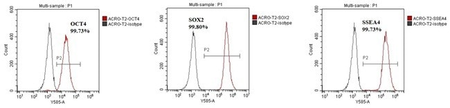 GMP-grade human FGF basic protein