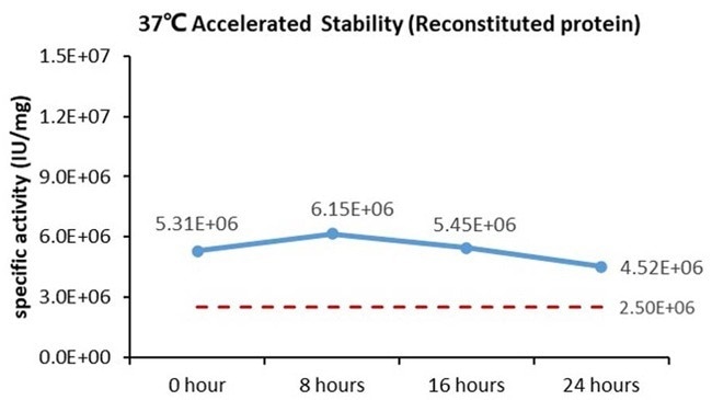 GMP-grade human FGF basic protein