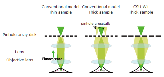 CSU-W1: Confocal Scanner