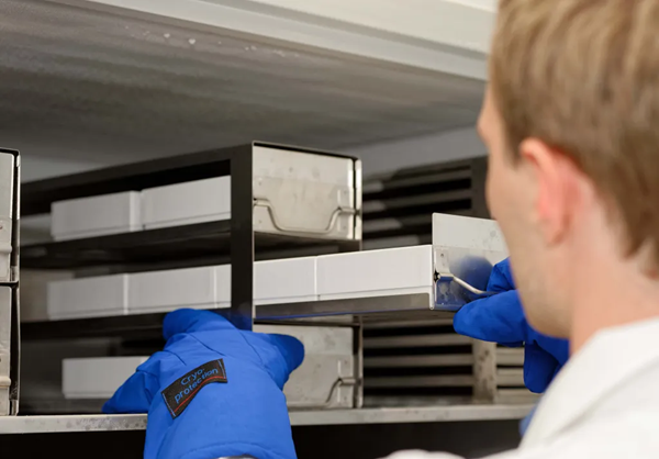 U501/5 ultra-low temperature freezer for high-volume biomedical storage