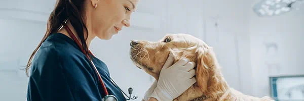 VET90 blood gas analyzer for advanced veterinary diagnostics