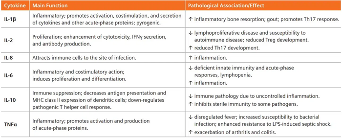 Key cytokines, their function, and pathological association/effect.