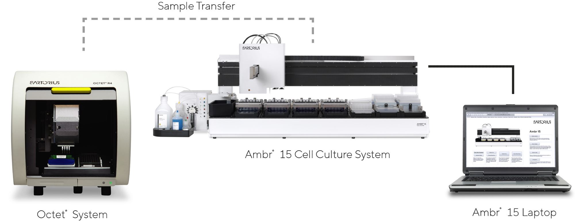 Cell culture setup for clone selection and media optimization.