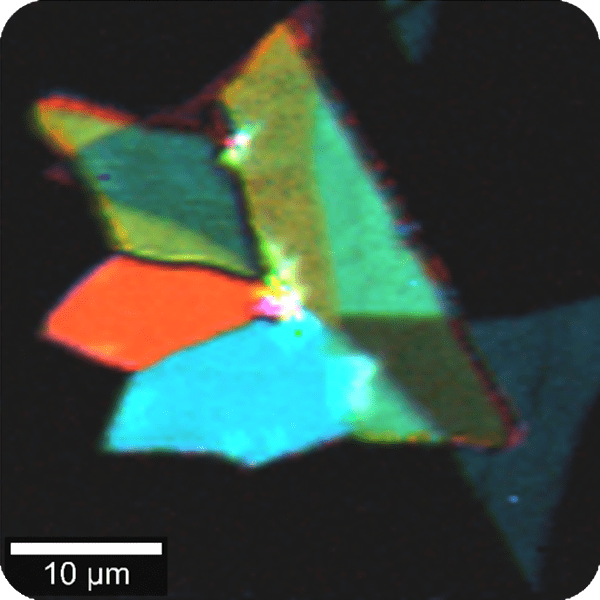 What makes the WITec360 Raman microscope the benchmark for correlative microscopy?